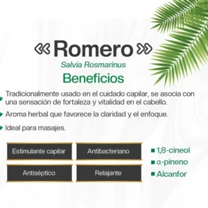 Aceite Esencial de Romero (10 ml) 100% Puro y Natural - Biocenter Natural - Imagen 3